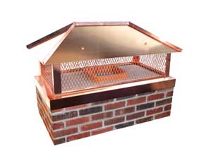 You should install a chimney cap