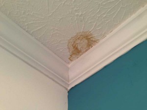 Water Leak - Charleston SC - Ashbusters Chimney Charleston