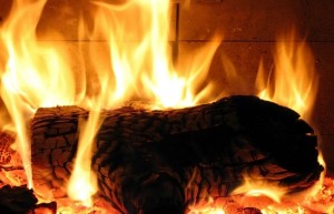 Choosing the right firewood means a safer fire and a more efficient burn.