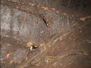 Chimney In Need of Relining - Charleston SC