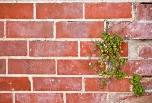 Restore, Repair, and Rebuild Masonry Chimneys - Charleston SC - Ashbusters